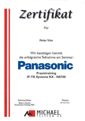Panasonic Peter Vise NS1000